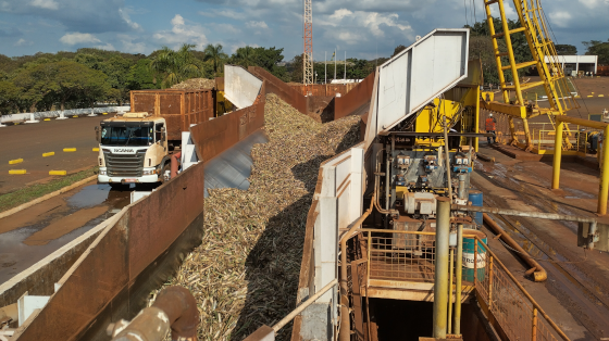 Cane Conveyor