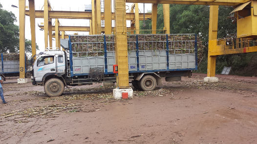 NASU Cane Truck